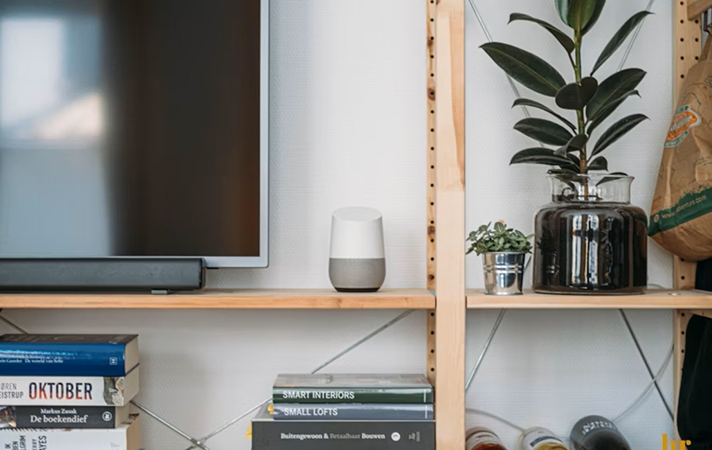 étagère murale avec smart tv et speaker à droite avec deu plantes et des livres dedessous